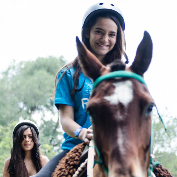 Actividades y excursiones